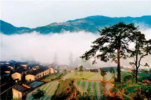 理查德·克伦威尔：克伦威尔之子，英格兰护国公，为何没保住共和