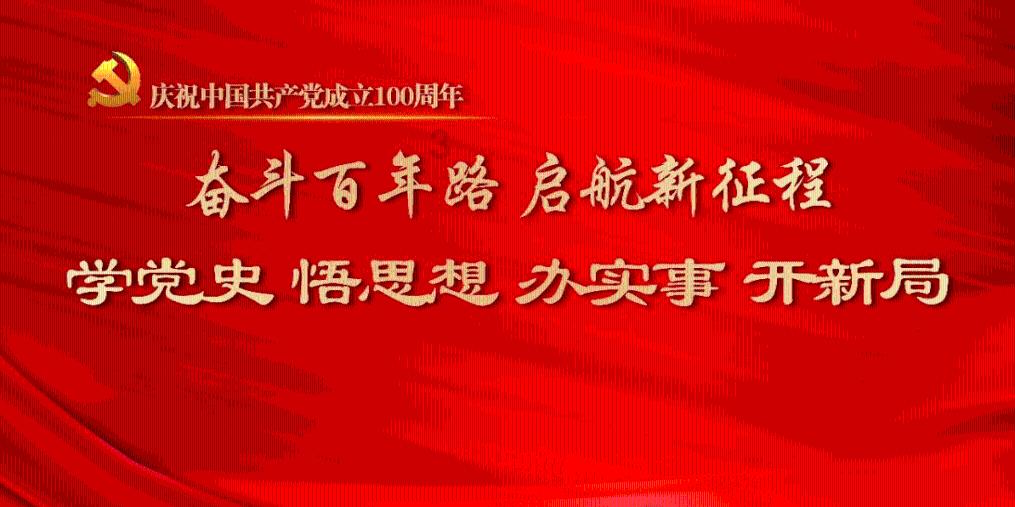 勇者机器人中文版